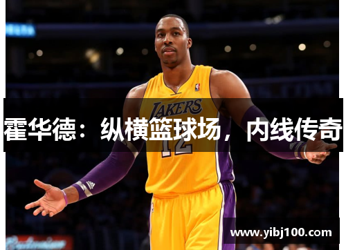 霍华德:纵横篮球场,内线传奇 霍华德:纵横篮球场,内线传奇